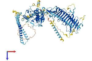 AlphaFold protein structure predicition of Human Recombinant DRC7 Protein, UniprotID Q8IY82
