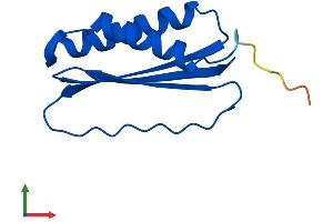 AlphaFold protein structure predicition of Mouse Recombinant Dynlt1 Protein, UniprotID P51807