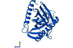 AlphaFold protein structure predicition of Mouse Recombinant Stard5 Protein, UniprotID Q9EPQ7