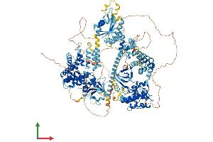 AlphaFold protein structure predicition of Human Recombinant MAP3K5 Protein, UniprotID Q99683