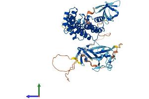 AlphaFold protein structure predicition of Mouse Recombinant Ncf2 Protein, UniprotID O70145