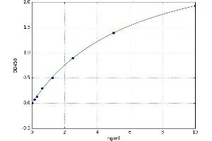A typical standard curve
