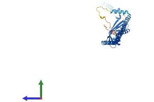 AlphaFold protein structure predicition of Human Recombinant ERLIN2 Protein, UniprotID O94905