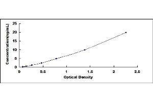 Typical standard curve (DNMT3B Kit ELISA)