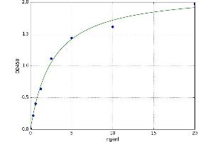 A typical standard curve (EGFLAM Kit ELISA)