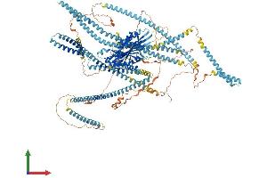 AlphaFold protein structure predicition of Mouse Recombinant Kif27 Protein, UniprotID Q7M6Z4