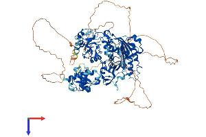 AlphaFold protein structure predicition of Mouse Recombinant Dnmt3b Protein, UniprotID O88509