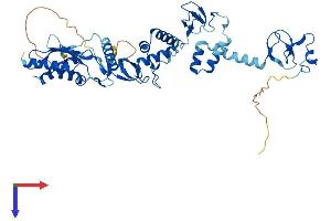 AlphaFold protein structure predicition of Mouse Recombinant Rnf14 Protein, UniprotID Q9JI90