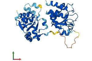 AlphaFold protein structure predicition of Human Recombinant DUSP2 Protein, UniprotID Q05923