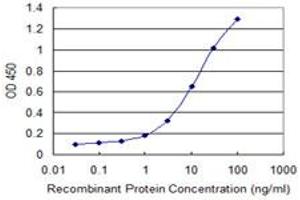 Detection limit for recombinant GST tagged DDX43 is 0.