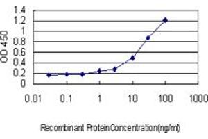 anti-Interleukin Enhancer Binding Factor 2, 45kDa (ILF2) (AA 151-250) antibody