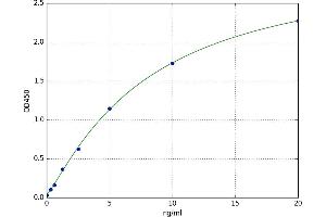 Dermcidin (DCD) ELISA Kit