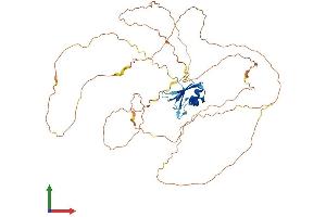 AlphaFold protein structure predicition of Human Recombinant RBMY1A1 Protein, UniprotID P0DJD3