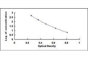 ELISA image for Somatostatin (SST) ELISA Kit (ABIN415375)