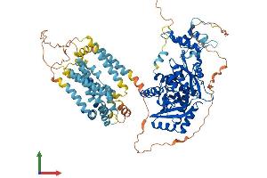 AlphaFold protein structure predicition of Human Recombinant HMGCR Protein, UniprotID P04035