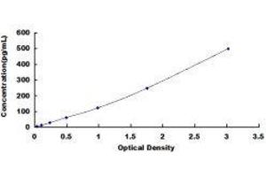 Fibroblast Growth Factor 10 (FGF10) ELISA Kit