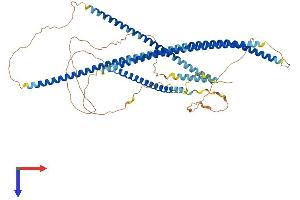 AlphaFold protein structure predicition of Mouse Recombinant Tnip1 Protein, UniprotID Q9WUU8
