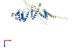 AlphaFold protein structure predicition of Human Recombinant RRN3P2 Protein, UniprotID A6NIE6
