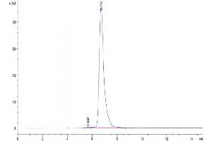 The purity of Human DLK1 is greater than 95 % as determined by SEC-HPLC.
