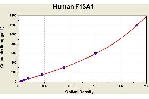 Diagramm of the ELISA kit to detect Human F13A1with the optical density on the x-axis and the concentration on the y-axis. (F13A1 Kit ELISA)