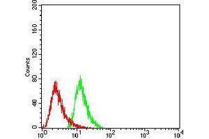 Flow cytometric analysis of Hela cells using HDAC6 mouse mAb (green) and negative control (red).