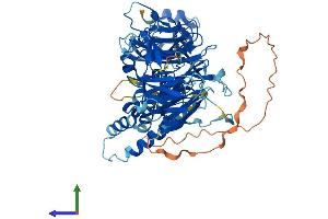 AlphaFold protein structure predicition of Mouse Recombinant LRWD1 Protein, UniprotID Q8BUI3