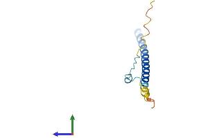 AlphaFold protein structure predicition of Human Recombinant SNAPC5 Protein, UniprotID O75971