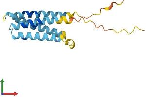 AlphaFold protein structure predicition of Mouse Recombinant Cklf Protein, UniprotID Q9DAS1