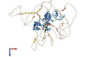AlphaFold protein structure predicition of Mouse Recombinant Cblb Protein, UniprotID Q3TTA7