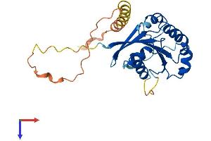 AlphaFold protein structure predicition of Human Recombinant ARL10 Protein, UniprotID Q8N8L6