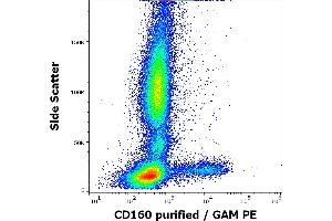 Flow cytometry surface staining pattern of human peripheral whole blood stained using anti-human CD160 (BY55) purified antibody (concentration in sample 5 μg/mL, GAM PE). (CD160 anticorps)