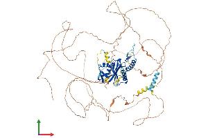 AlphaFold protein structure predicition of Human Recombinant ESCO1 Protein, UniprotID Q5FWF5