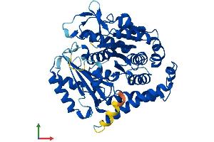 AlphaFold protein structure predicition of Mouse Recombinant Tubb4b Protein, UniprotID P68372