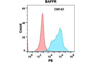 Flow cytometry analysis with Anti-BAFFR (DM143) on Expi293 cells transfected with human BAFFR (Blue histogram) or Expi293 transfected with irrelevant protein (Red histogram). (TNFRSF13C anticorps  (AA 7-71))