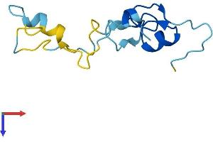 AlphaFold protein structure predicition of Mouse Recombinant Cript Protein, UniprotID O70333