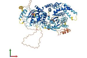 AlphaFold protein structure predicition of Human Recombinant URGCP Protein, UniprotID Q8TCY9