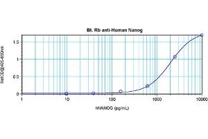 Image no. 4 for anti-Nanog Homeobox (NANOG) antibody (Biotin) (ABIN181657) (Nanog anticorps  (Biotin))