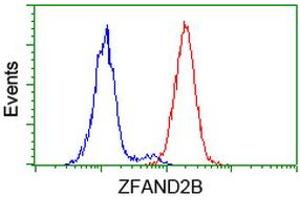 Image no. 2 for anti-Zinc Finger, AN1-Type Domain 2B (ZFAND2B) antibody (ABIN1501804)