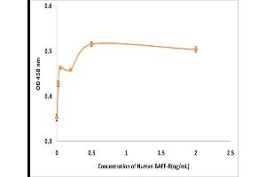 Activity Assay (AcA) image for Tumor Necrosis Factor Receptor Superfamily, Member 13C (TNFRSF13C) (Active) protein (ABIN5509279)
