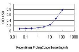 Detection limit for recombinant GST tagged GAPDHS is approximately 1ng/ml as a capture antibody. (GAPDHS anticorps  (AA 1-408))