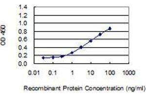 Detection limit for recombinant GST tagged SLC9A9 is 0. (SLC9A9 anticorps  (AA 71-126))