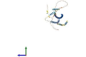 AlphaFold protein structure predicition of Mouse Recombinant Traf3ip3 Protein, UniprotID Q8C0G2