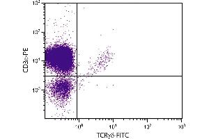 CD-1 mouse mesenteric lymph node cells were stained with Hamster Anti-Mouse TCRγδ-FITC. (TCRgd anticorps (FITC))
