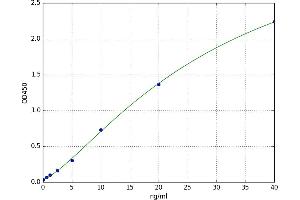 A typical standard curve