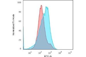 Flow Cytometric Analysis of paraformaldehyde-fixed HepG2 cells using SUMO-2/3 Mouse Monoclonal Antibody (SM23/496) followed by goat anti- Mouse- IgG-CF488 (Blue); Isotype Control (Red).