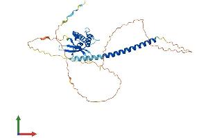 AlphaFold protein structure predicition of Mouse Recombinant Snx16 Protein, UniprotID Q8C080