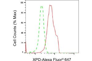 Flow cytometric analysis of XPD expression in HeLa cells using XPD antibody (ABIN7798540), 1:2,000). (Recombinant ERCC2 anticorps)