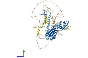 AlphaFold protein structure predicition of Mouse Recombinant Sytl4 Protein, UniprotID Q9R0Q1