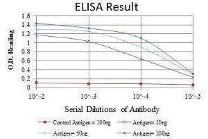 Red: Control Antigen (100 ng), Purple: Antigen (10 ng), Green: Antigen (50 ng), Blue: Antigen (100 ng),
