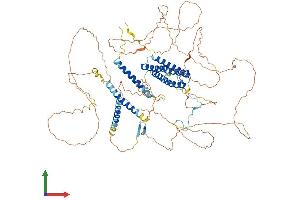 AlphaFold protein structure predicition of Human Recombinant DLGAP5 Protein, UniprotID Q15398